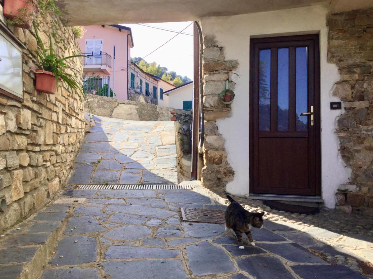 La Casa Nel Caruggio Apartment Diano Arentino Luaran gambar